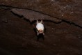 /album/galleria-foto-foto-fauna/a8688760-orig-jpg/